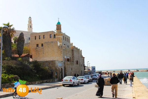 mina2 yaffaj343 (27).jpg